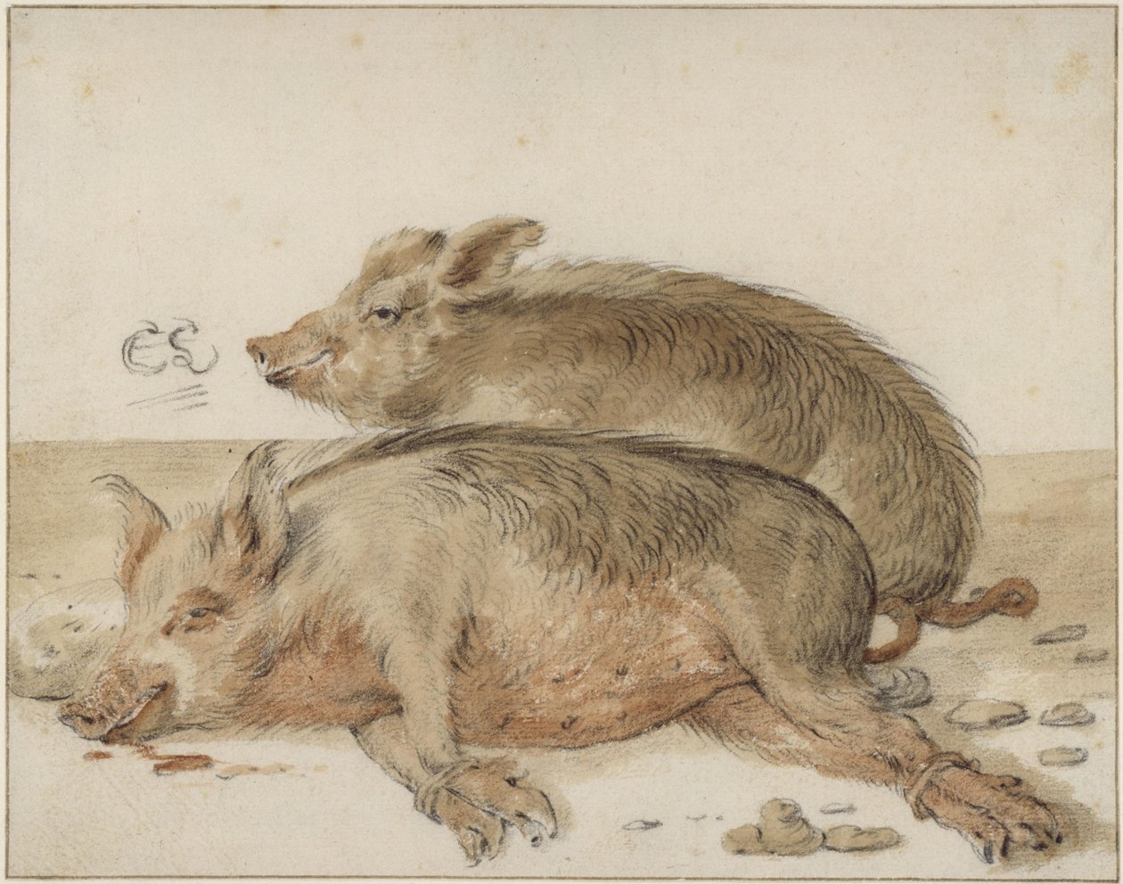 Due maiali da Cornelis Saftleven