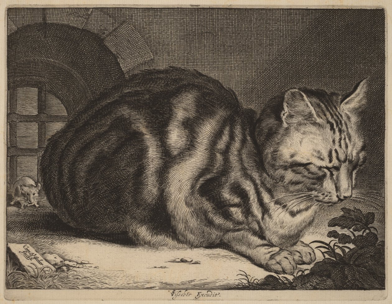 Il grande gatto da Cornelis Visscher