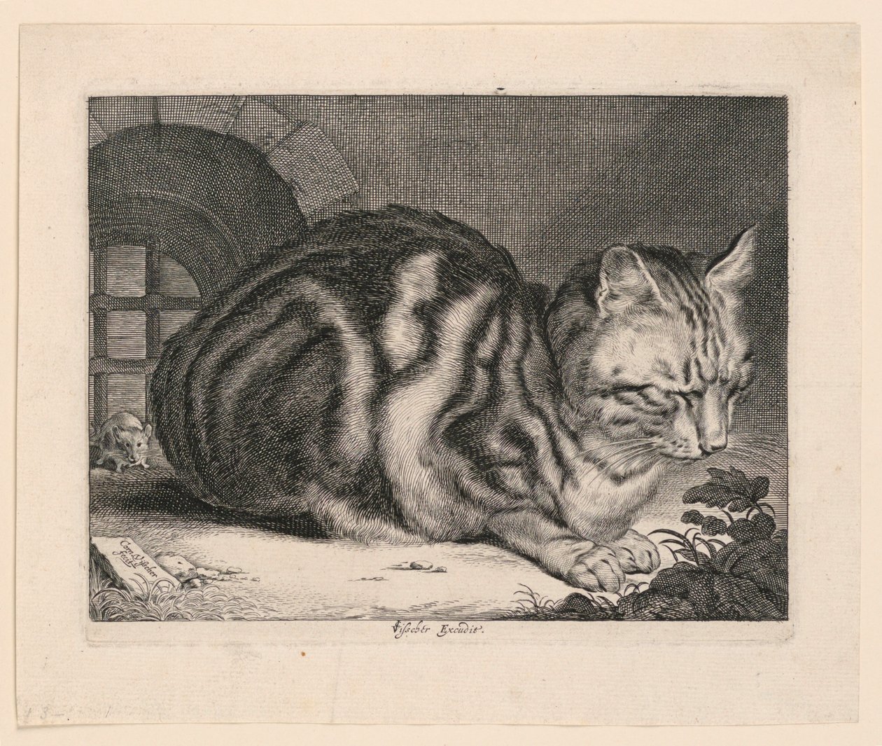 Il grande gatto da Cornelis Visscher
