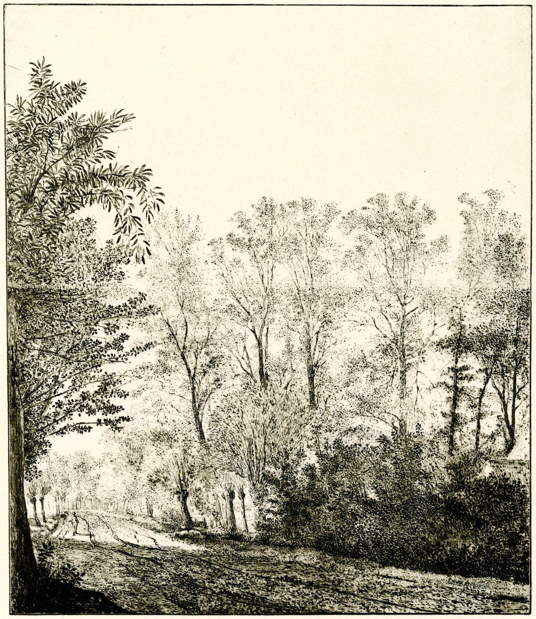 Sentiero attraverso una foresta da Hendrick Cornelisz. Vroom