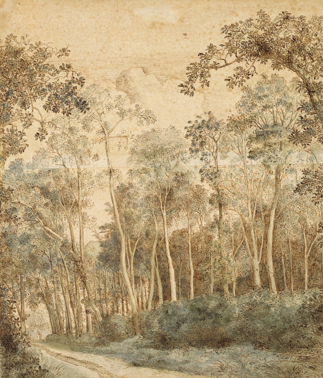 Paesaggio boscoso da Hendrick Cornelisz. Vroom
