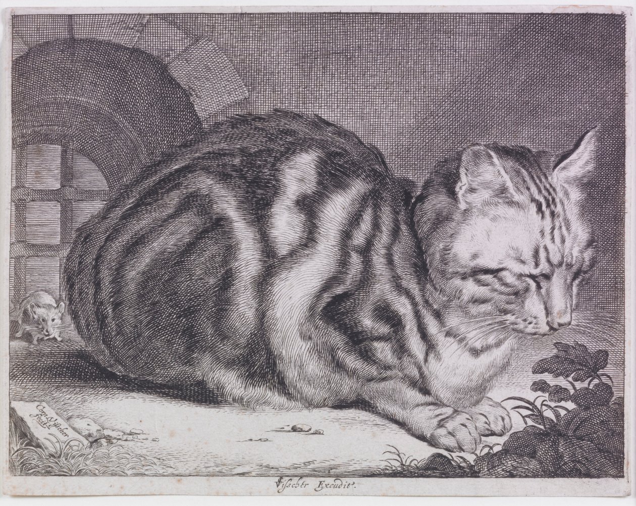 Il grande gatto da Cornelis de Visscher