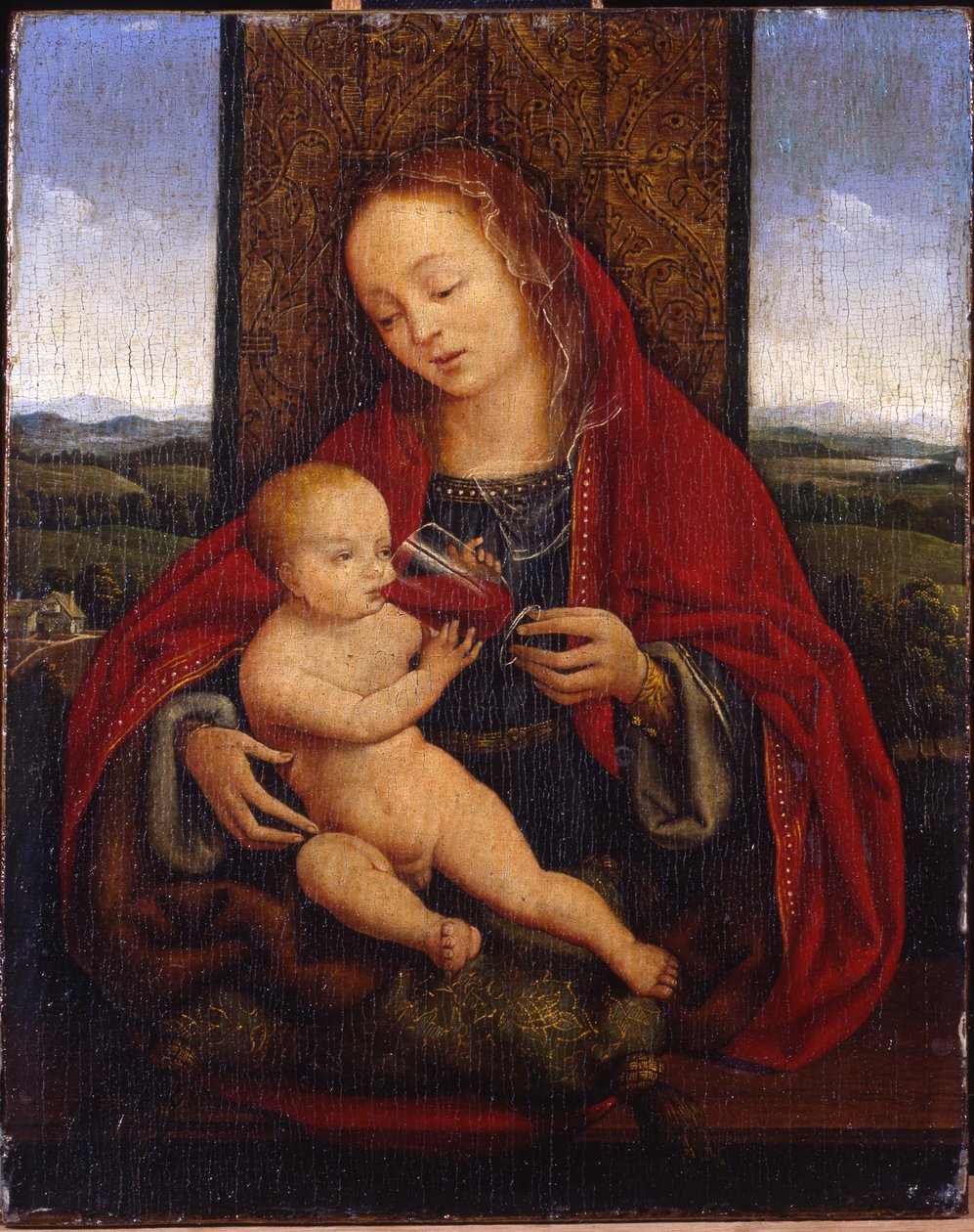 La Madonna col Bambino in trono da Cornelis van Cleve