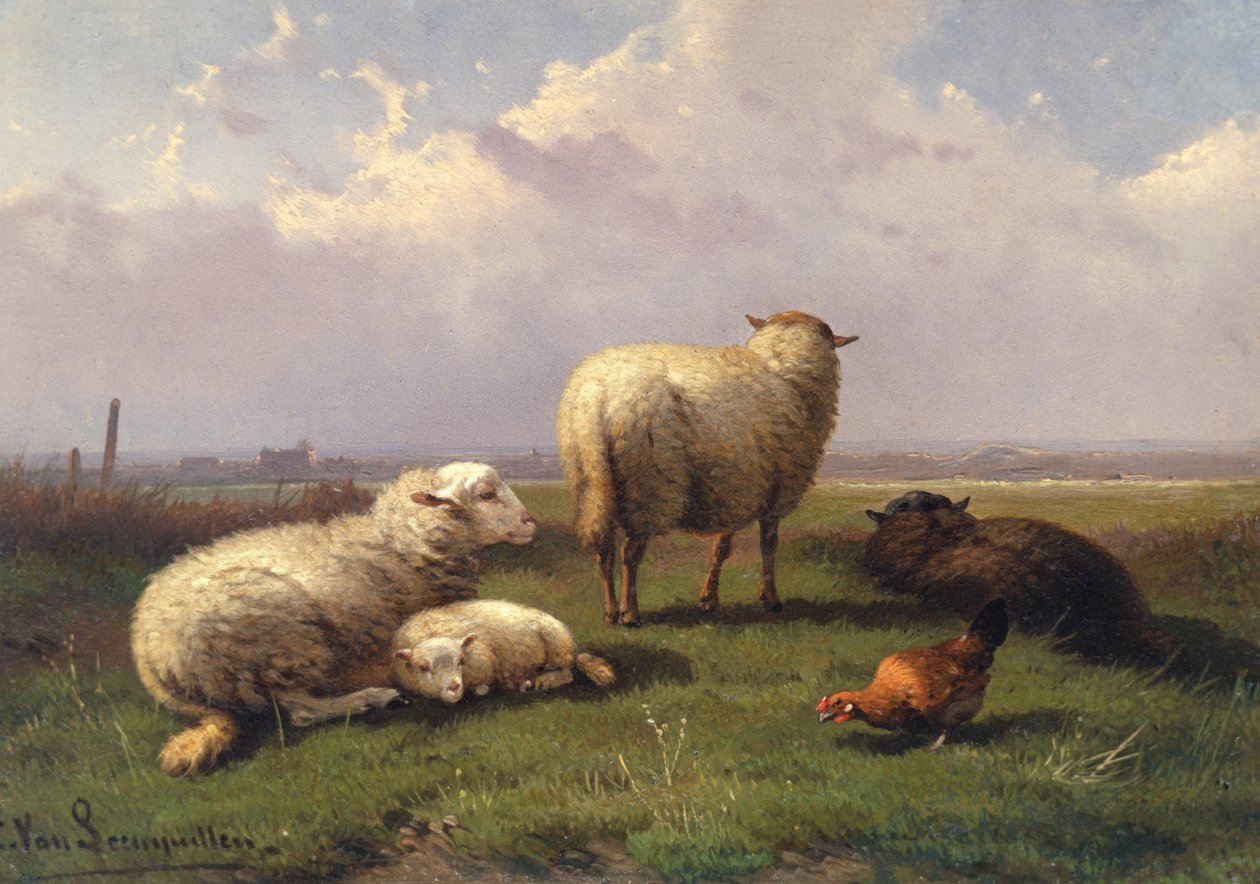 Pecore che sonnecchiano in un pascolo, XIX secolo da Cornelis van Leemputten