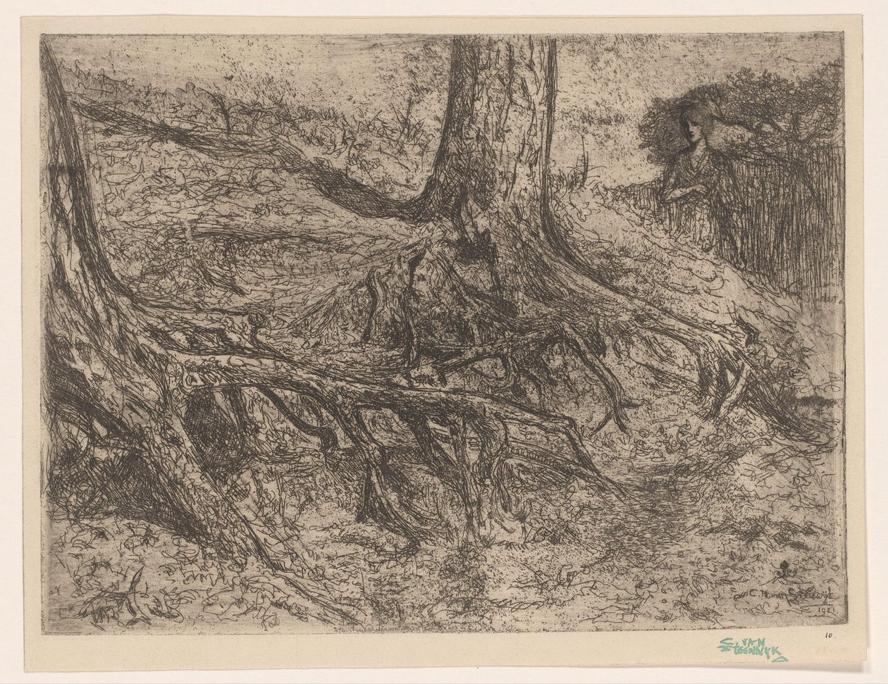 Radici di alberi da Cornelis van Steenwijk