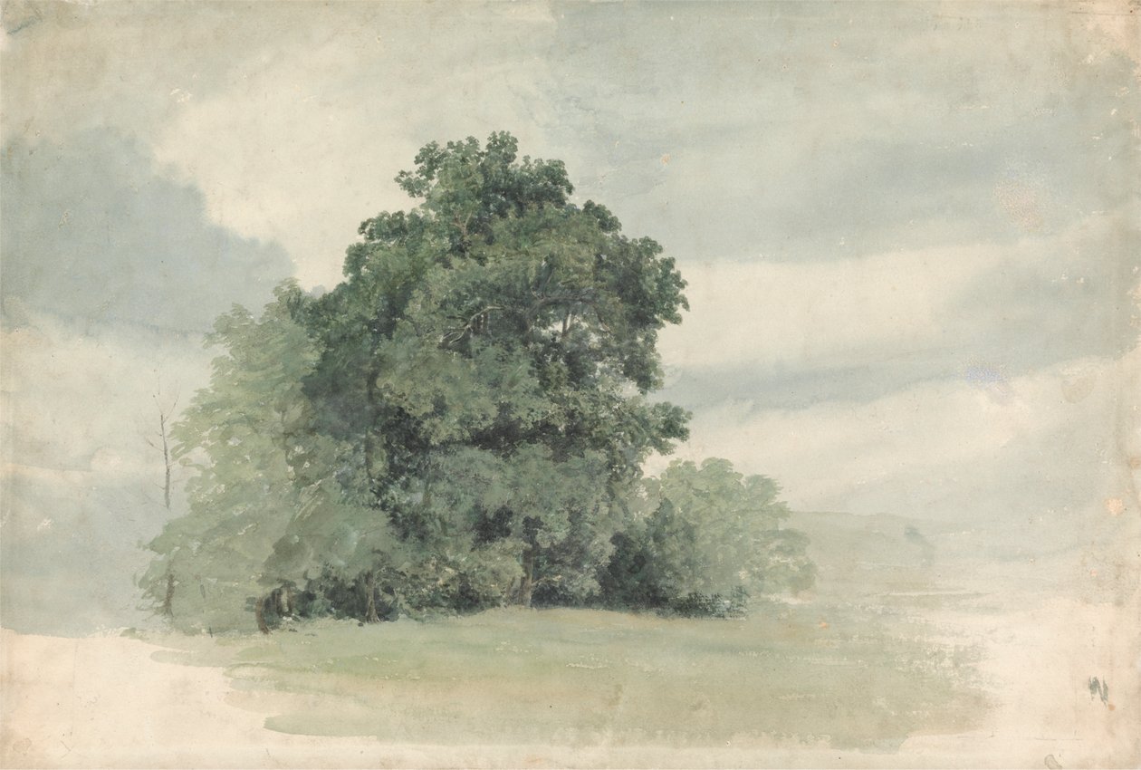 Studio di Alberi al Bordo di un Campo da Cornelius Varley