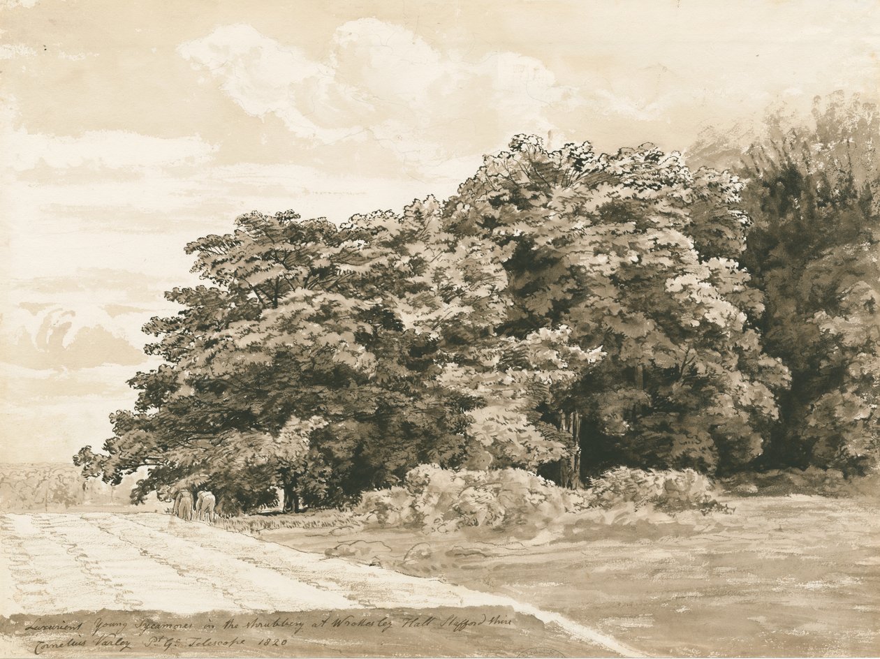 Wrottesley Hall - Il Giardino da Cornelius Varley