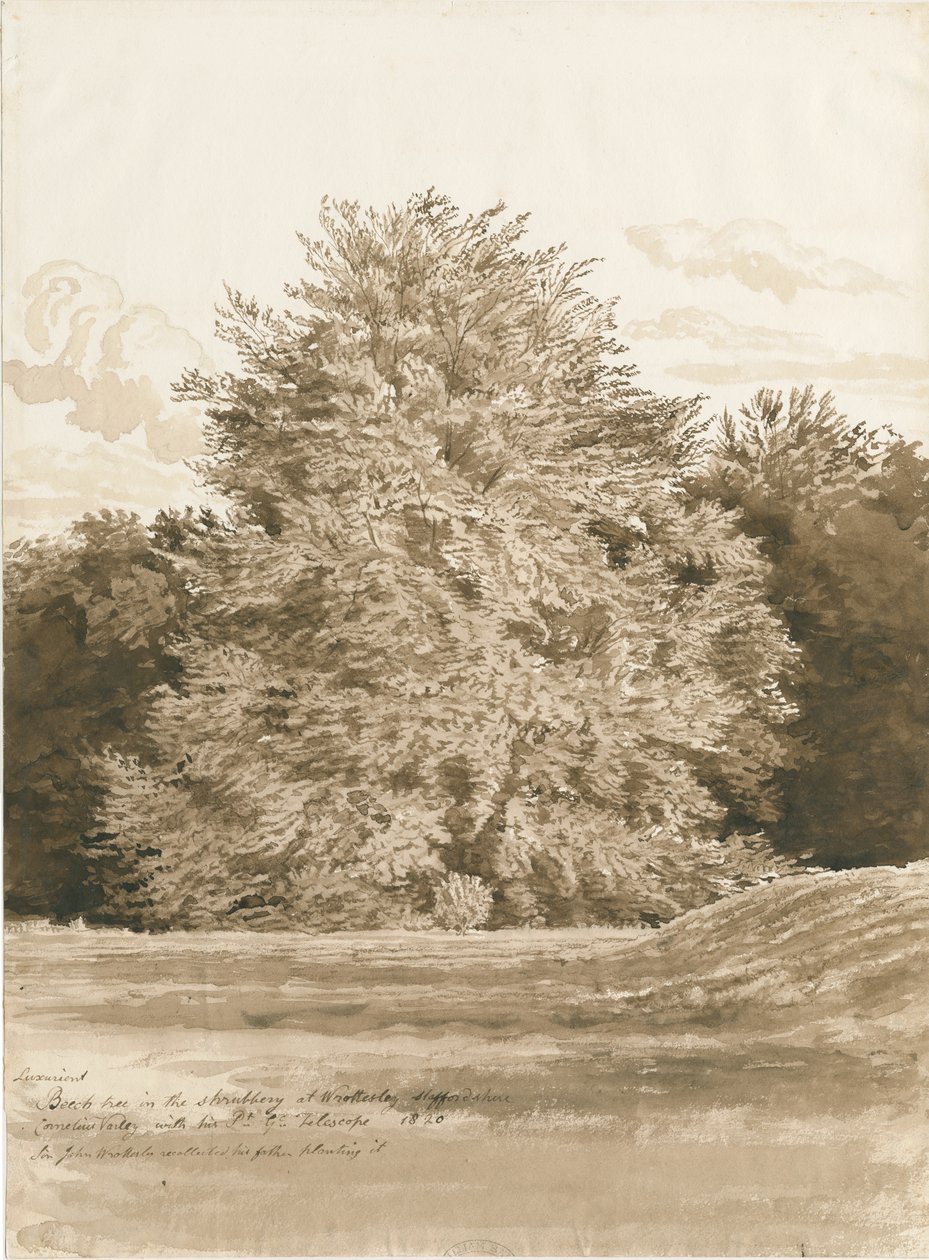 Wrottesley Hall - Il giardino da Cornelius Varley