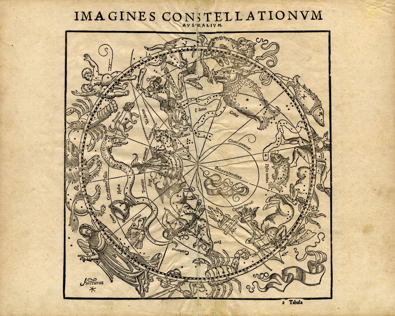 Immagina Constellationum Australium (Pianeta Celeste Meridionale) da Coronensis & Petri Heinrich Honter