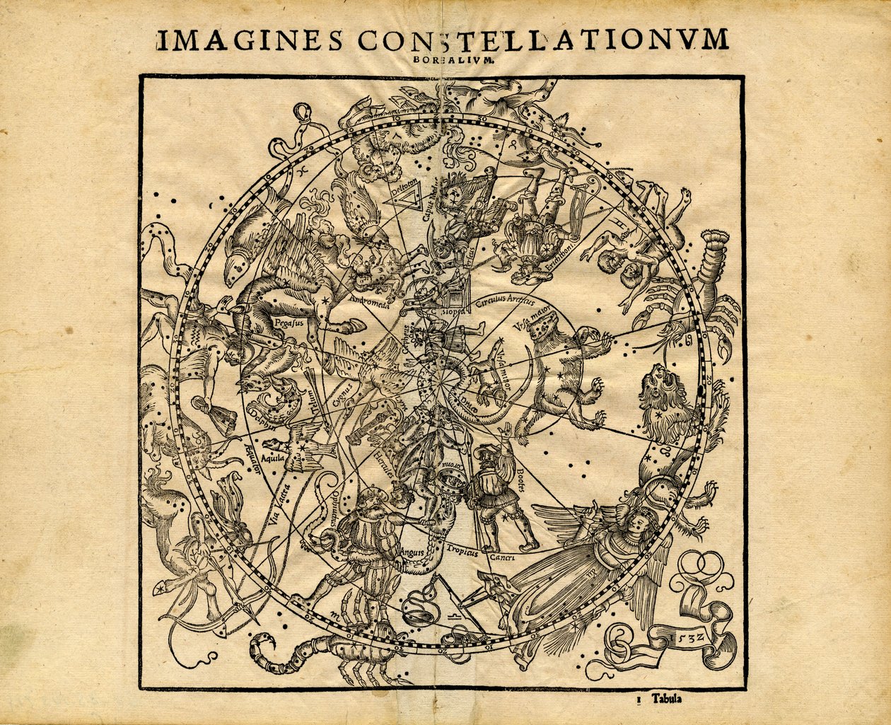 Immagina Constellationum Borealium (Planisfero Celeste Settentrionale) da Coronensis & Petri Heinrich Honter