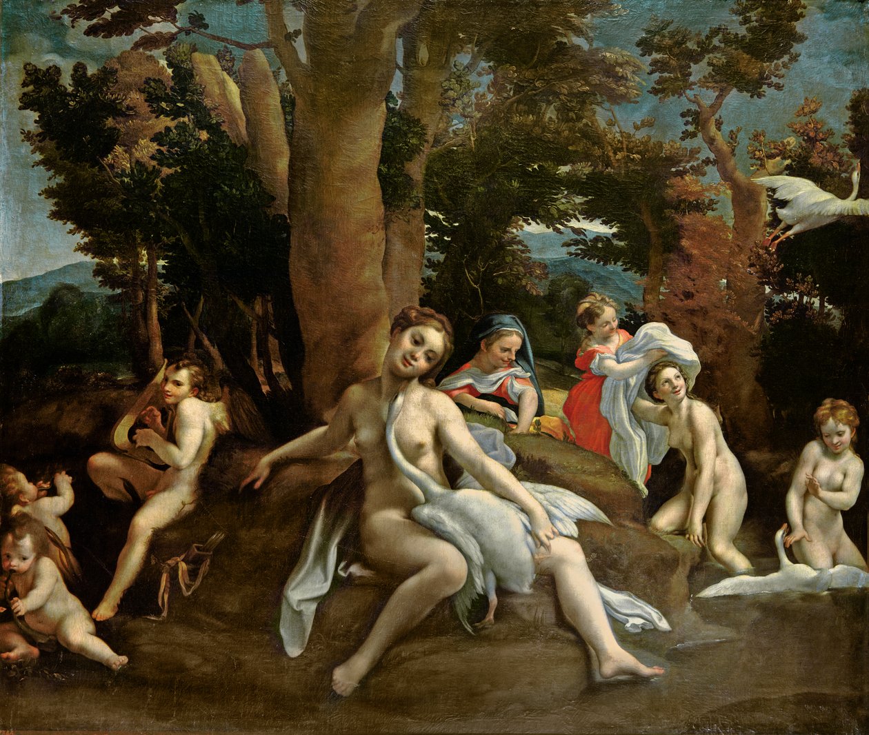 Leda e il cigno da Antonio da Correggio