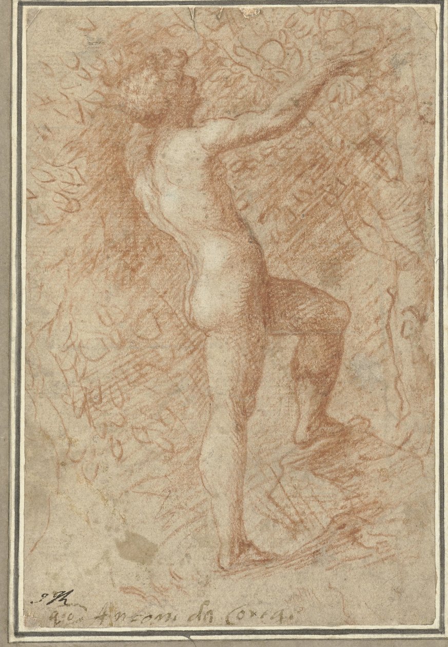 Adamo coglie la mela dall