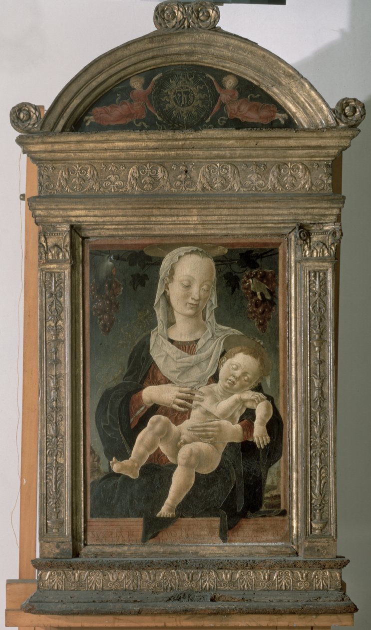 Madonna col Bambino da Cosimo Tura