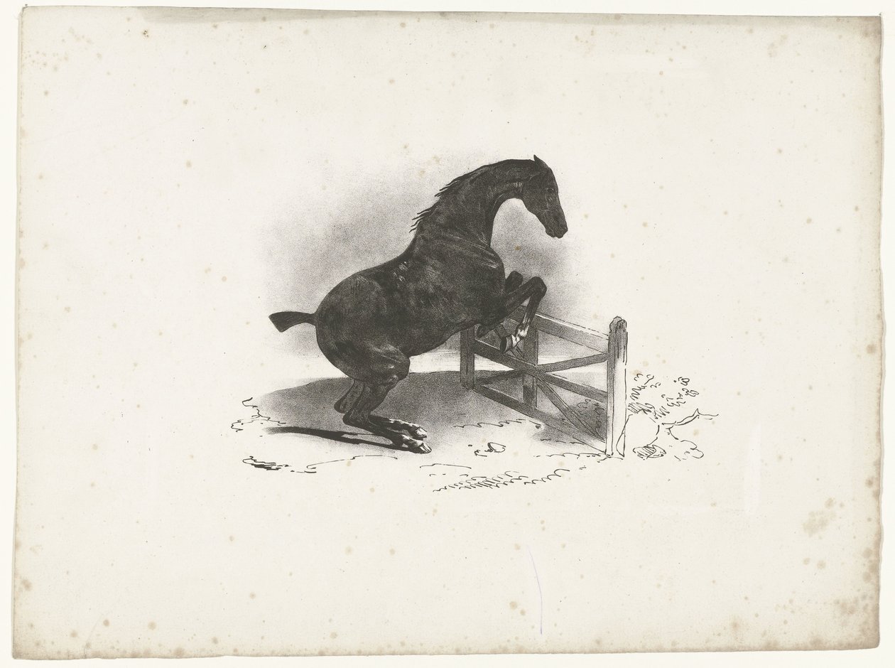 Cavallo che salta una barriera da Courtin