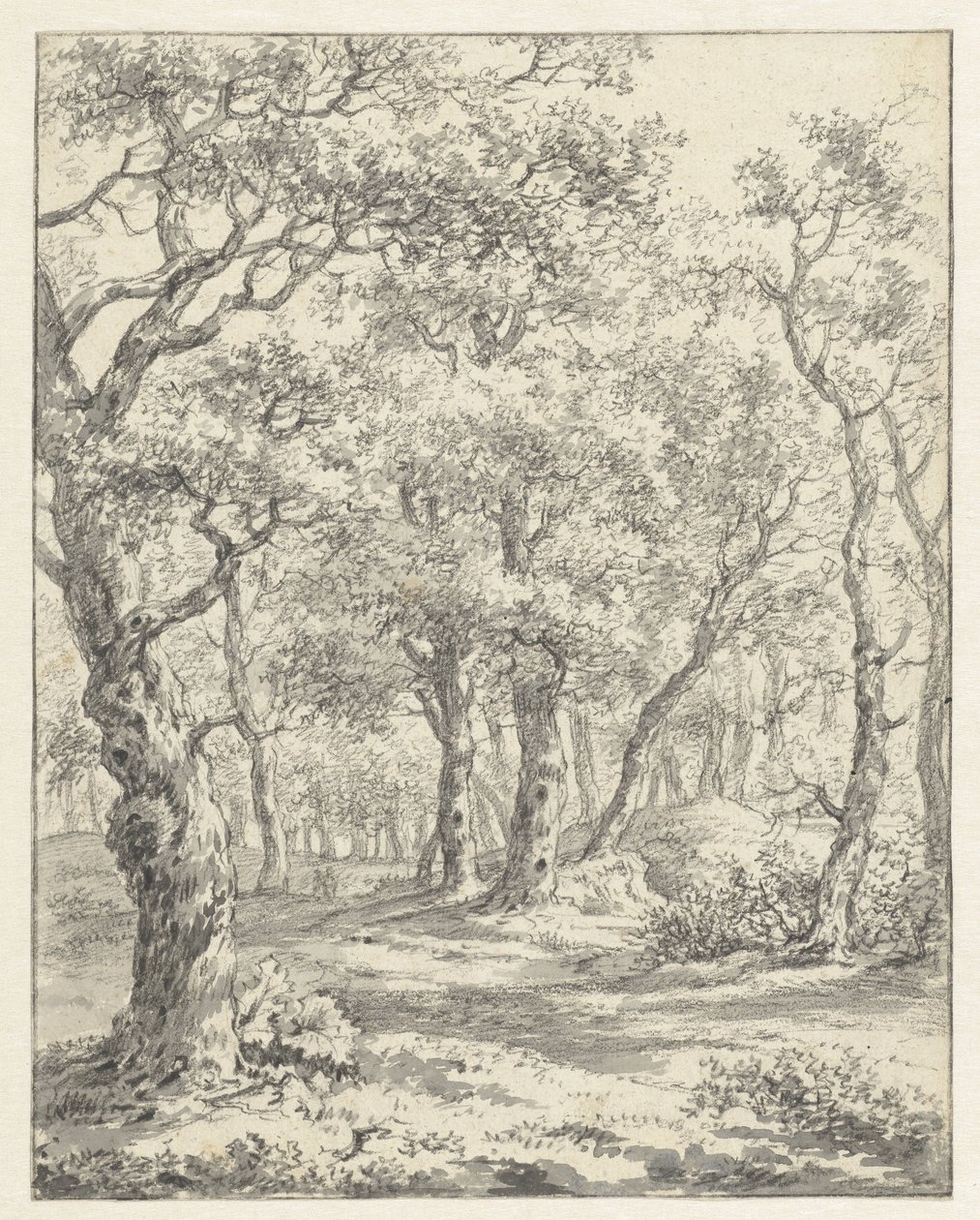 Paesaggio boschivo da Couwenhoven