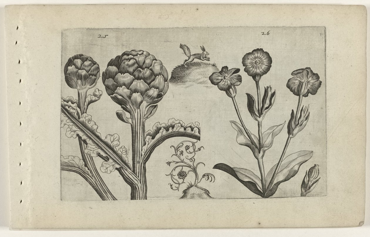 Carciofo e cardo da Crispijn van de Passe (I) (attributed to)