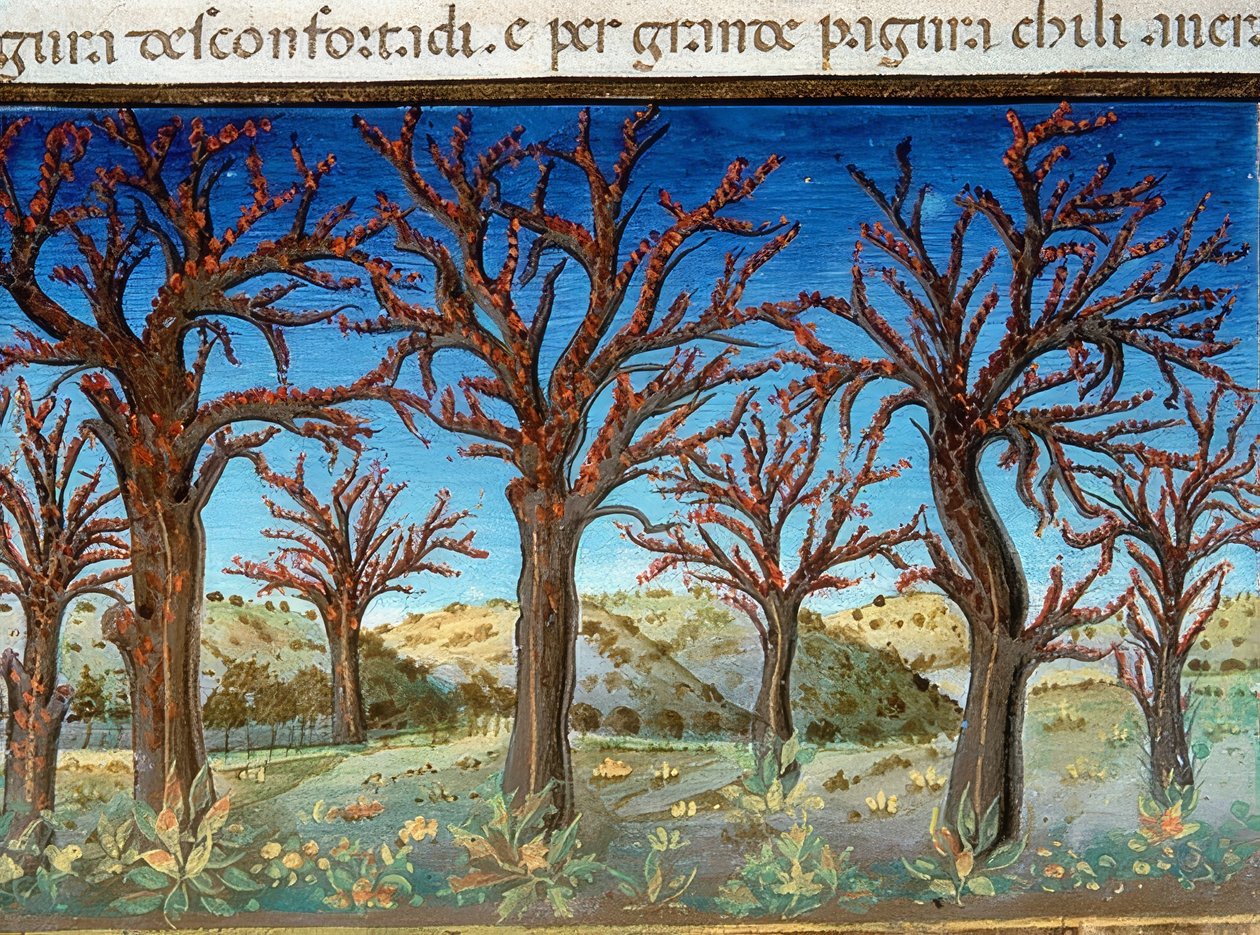 La fine del mondo: gli alberi saranno coperti di sangue da Cristoforo De Predis