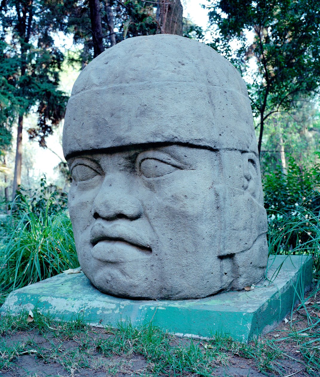 Civiltà precolombiana: testa colossale olmeca. X-VII secolo a.C. Messico. Parco Museo di La Venta da Culture Olmec