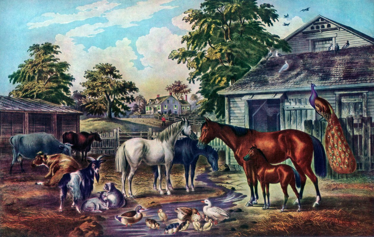 Cortile americano al mattino, 1857 da Currier and Ives