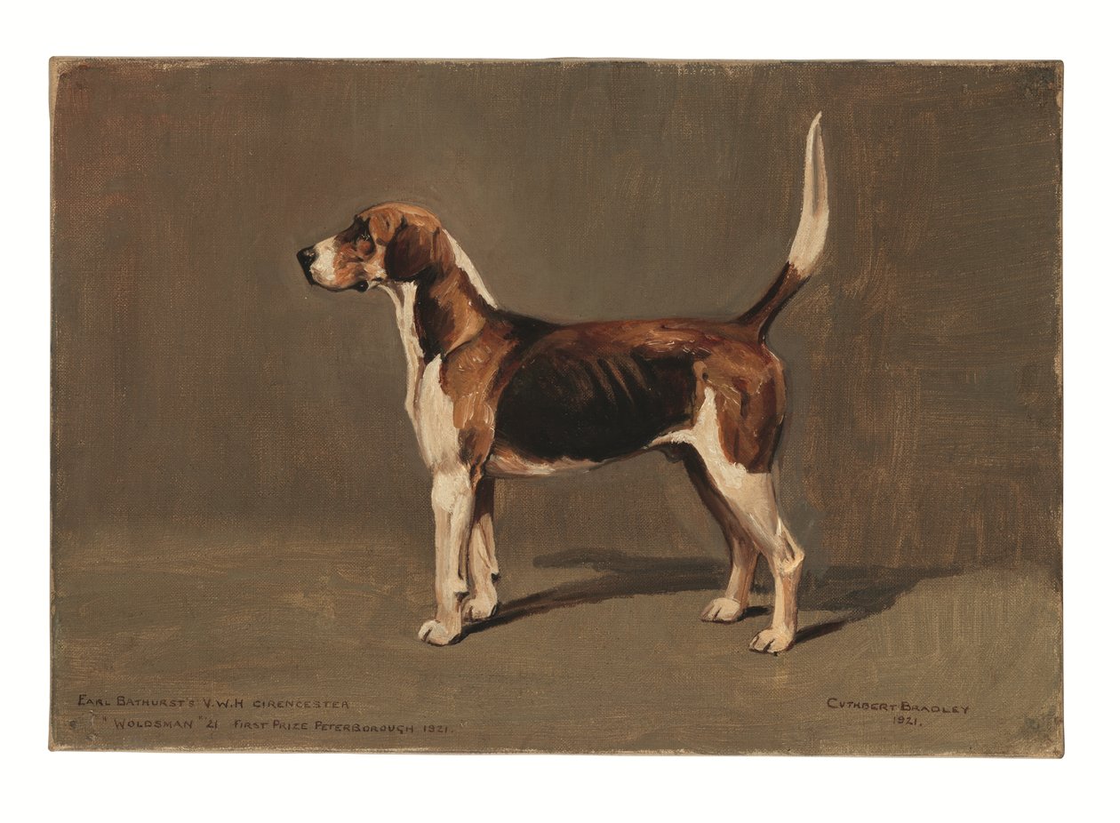 "Woldsman" da Cuthbert Bradley
