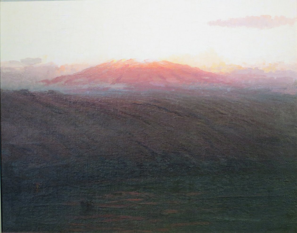 Mauna Kea da D. Howard Hitchcock