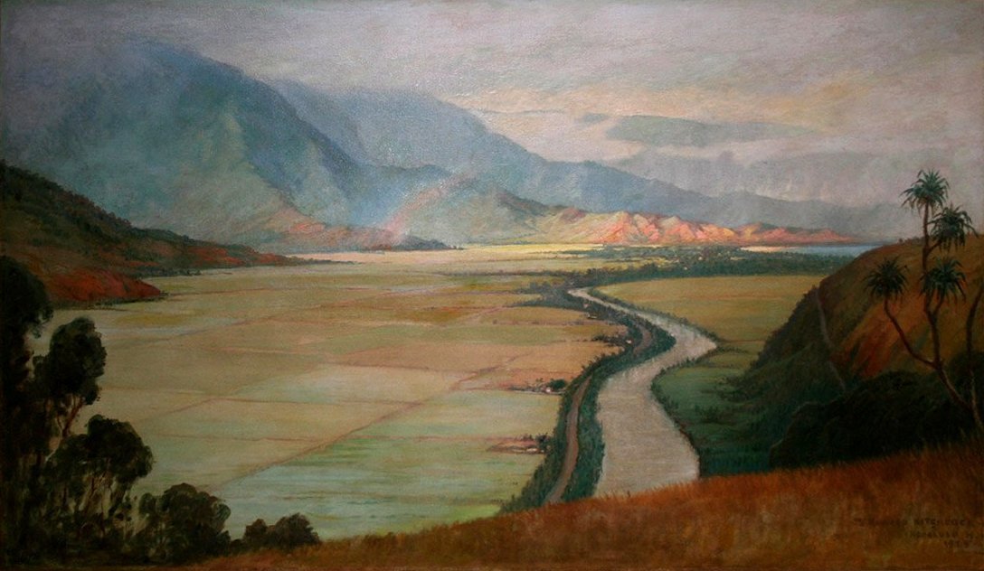 Valle di Hanalei da D. Howard Hitchcock