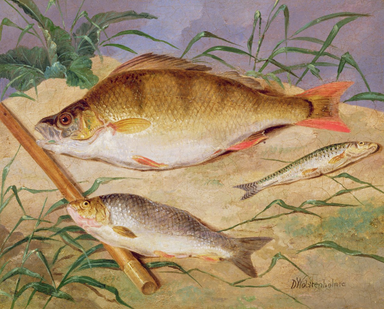 La cattura di pesci grossolani di un pescatore da D. the Younger Wolstenholme
