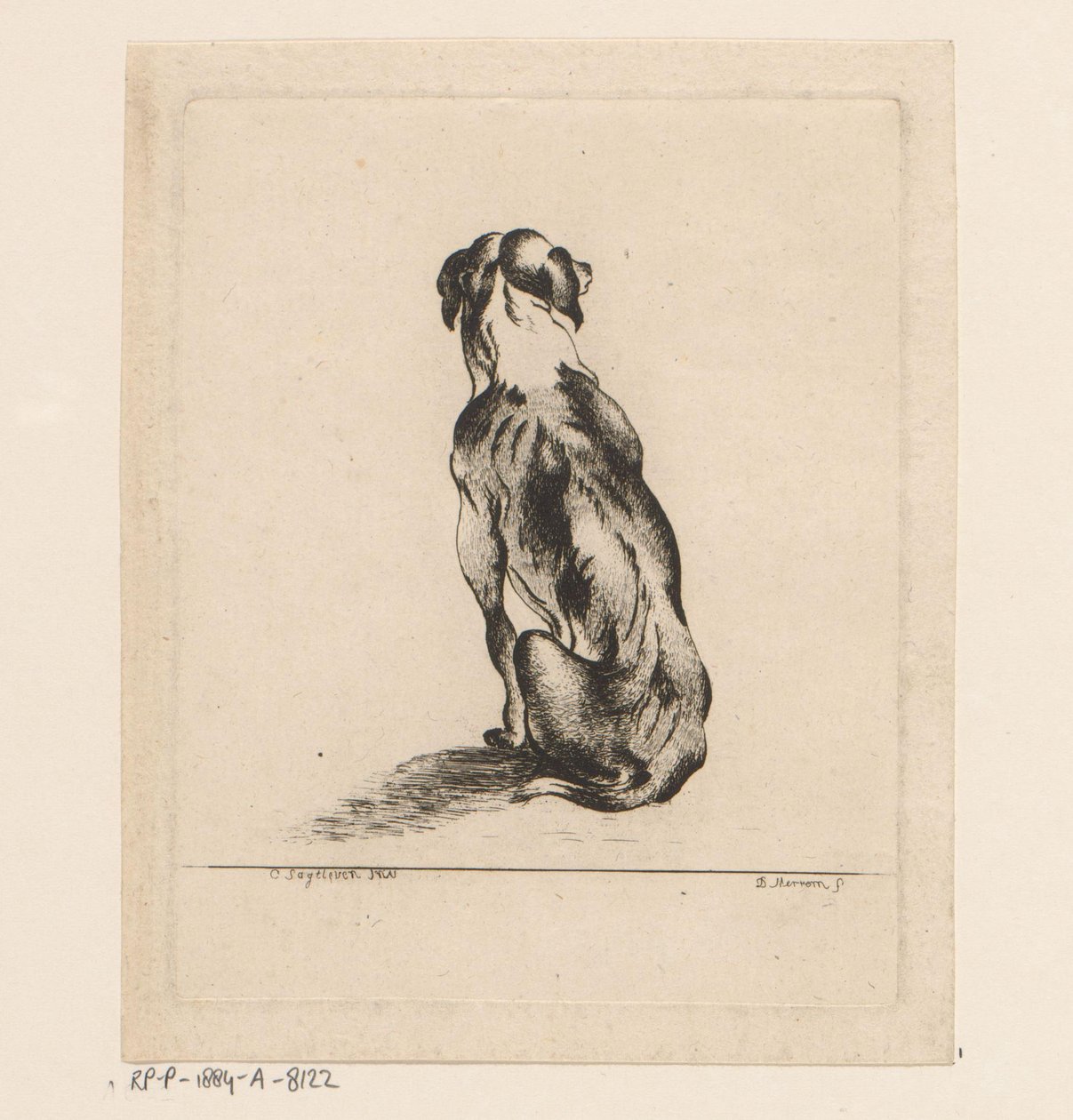 Cane seduto visto di schiena da D. Merrem