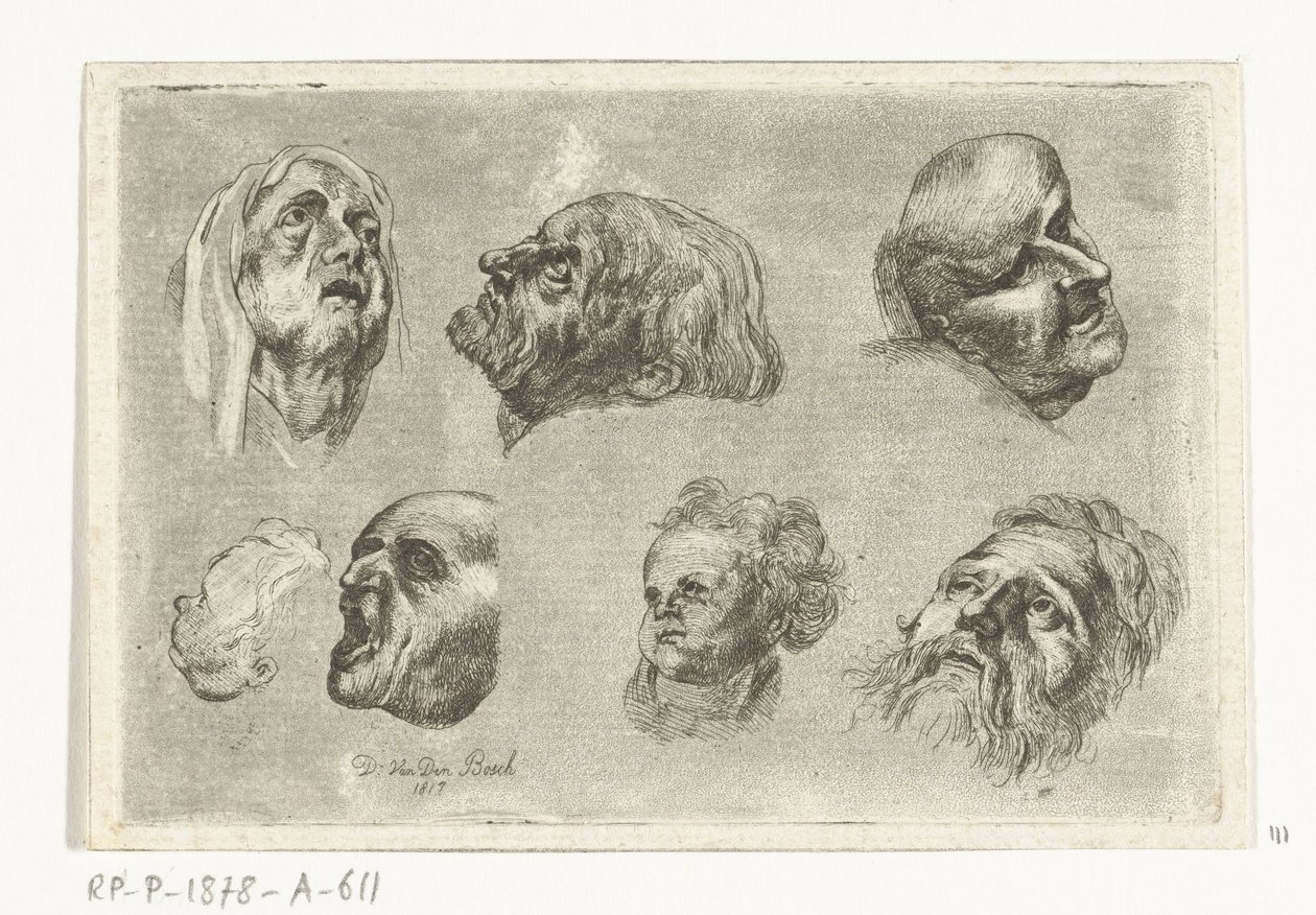 Foglio di studio con sette teste in due file da D. van den Bosch