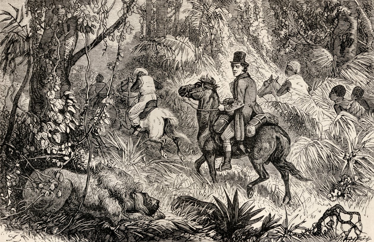 Mungo Park incontra un leone mentre si dirige verso il villaggio di Modiboo, 1825 da Dalziel Brothers