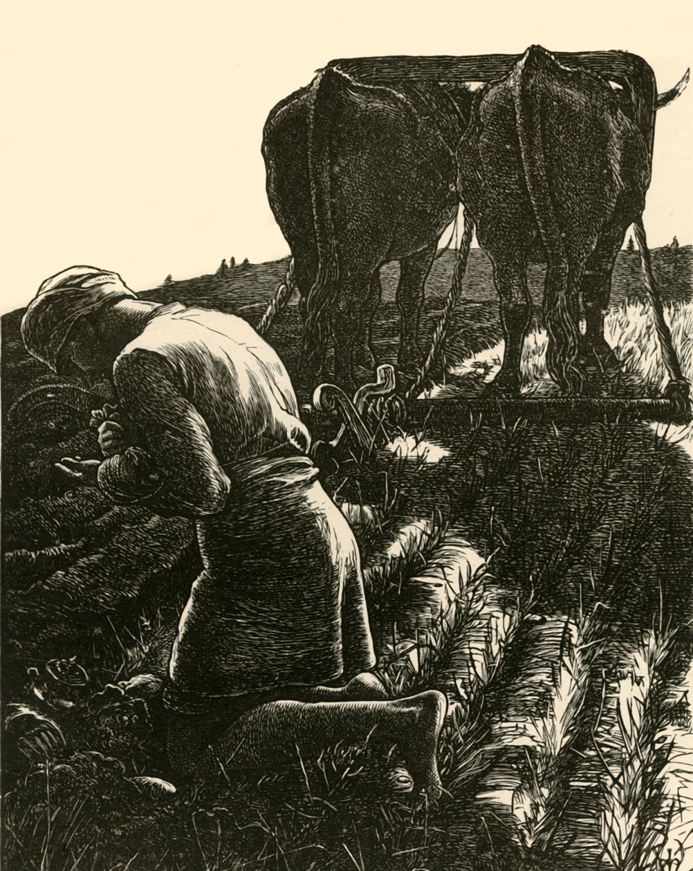Il Tesoro Nascosto, 1864, 1928 da Dalziel Brothers