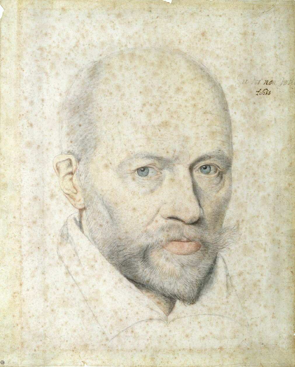 Ritratto di San Vincenzo de