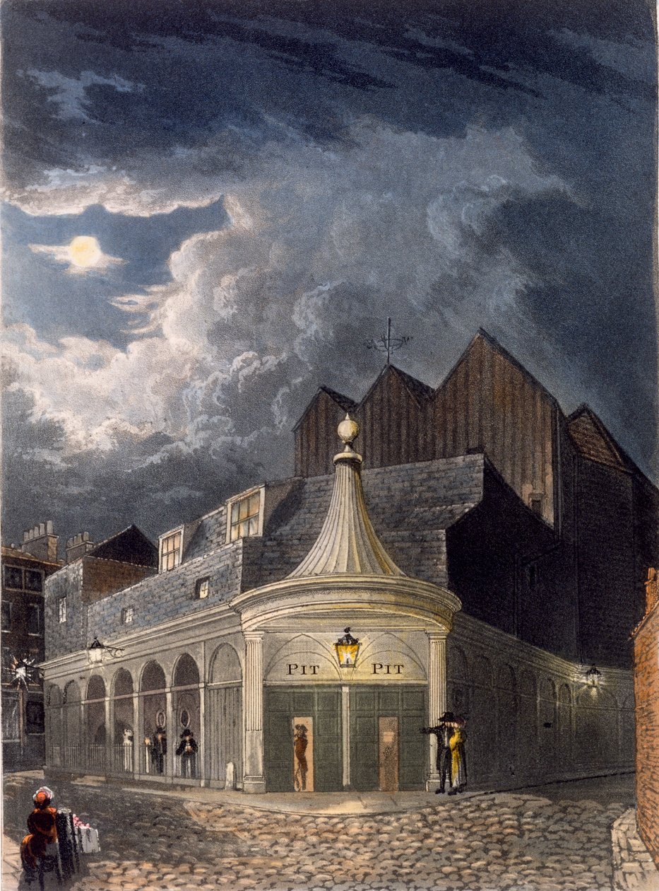 Il teatro olimpico da Daniel Havell