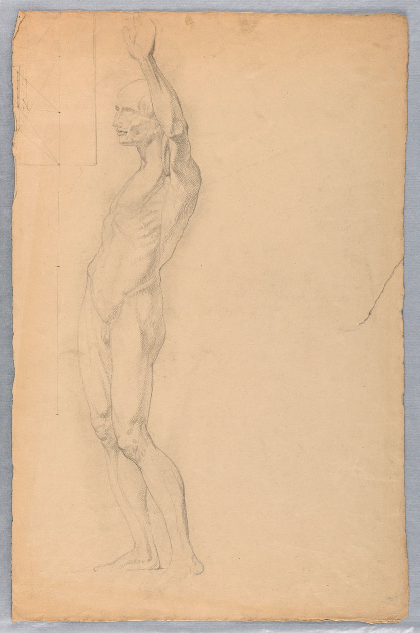Disegno, studio anatomico di maschio, 1850 ca. da Daniel Huntington