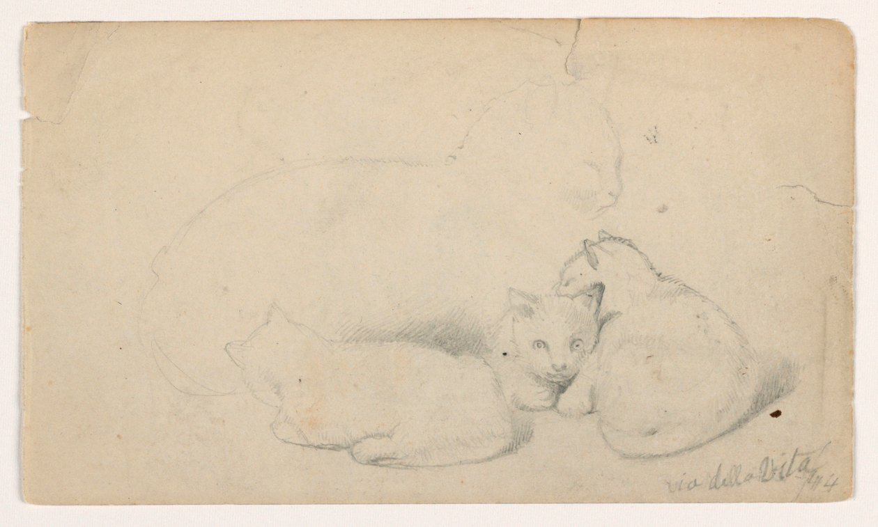 Disegno, Gatto e tre gattini; verso: Uomo arabo seduto che riceve un uomo, forse da David Roberts, 1844 da Daniel Huntington