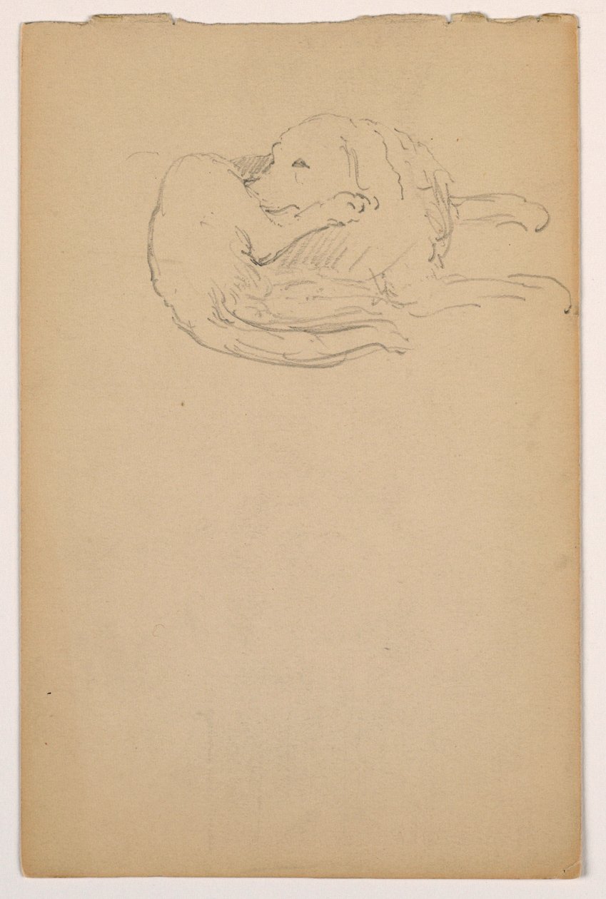 Disegno, Dash (un Setter), 1862 ca. da Daniel Huntington