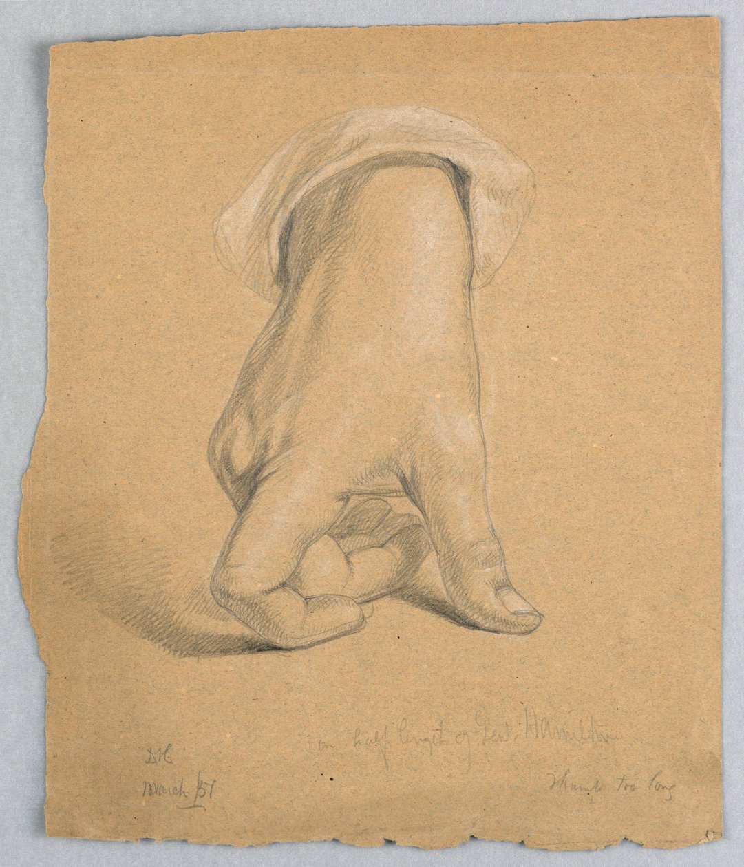 Disegno, generale Alexander Hamilto, marzo 1851 da Daniel Huntington