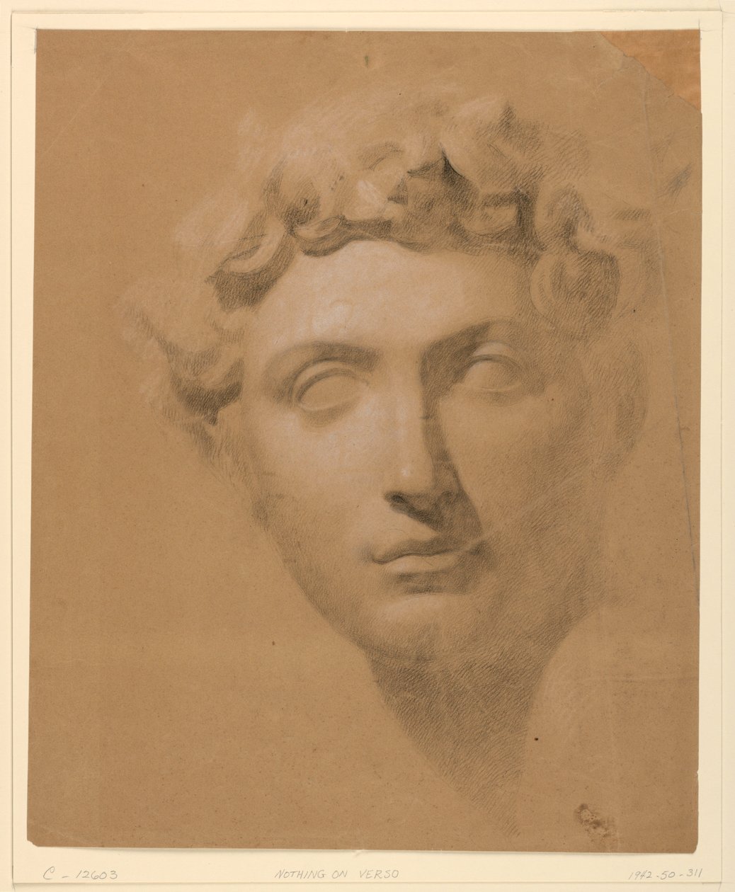 Disegno, testa maschile da un gesso, 1840 da Daniel Huntington