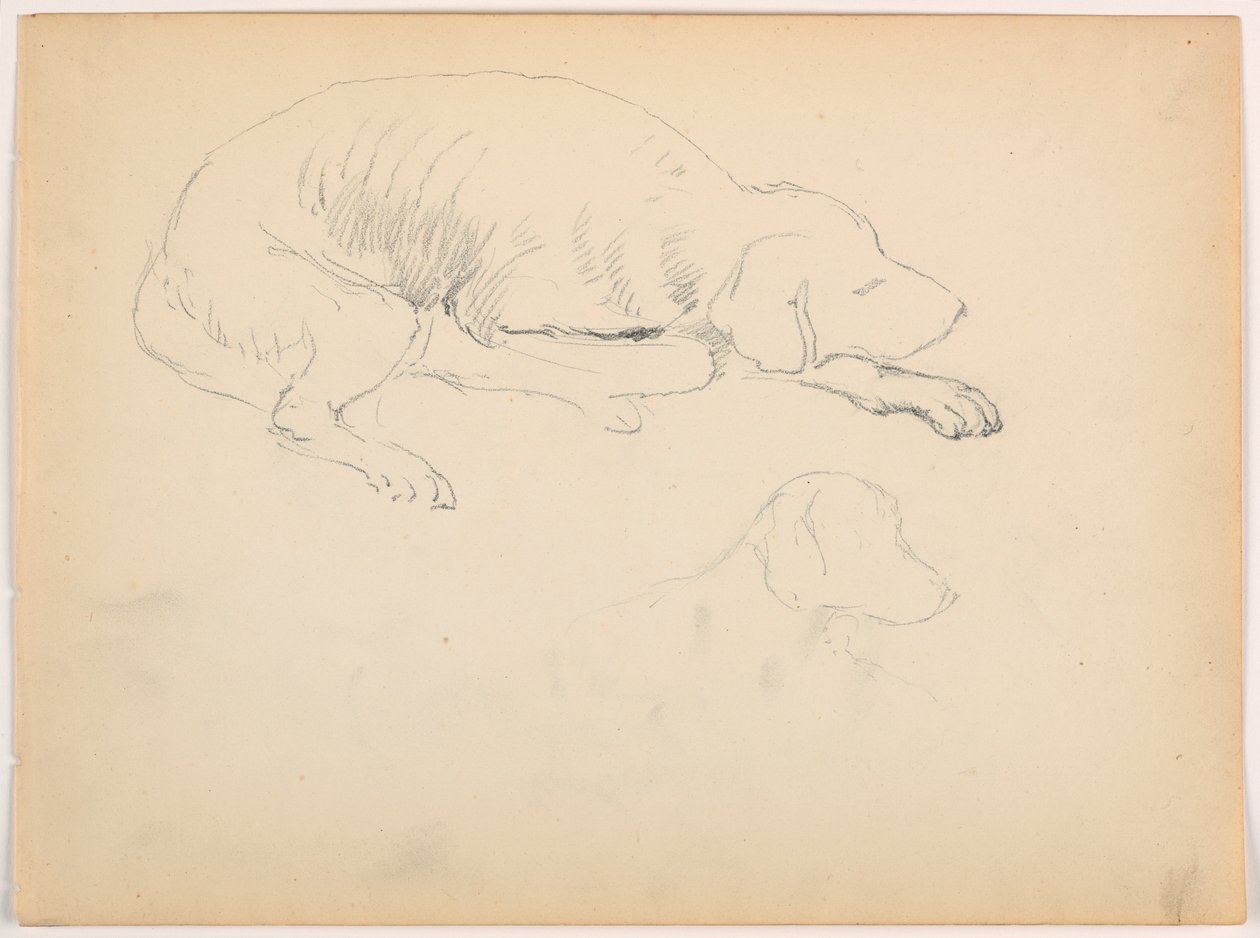 Disegno, Milo (un pointer), due studi, 1862 ca. da Daniel Huntington