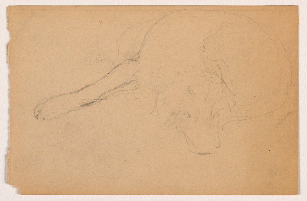 Disegno, Miol (un pointer), 1862 ca. da Daniel Huntington