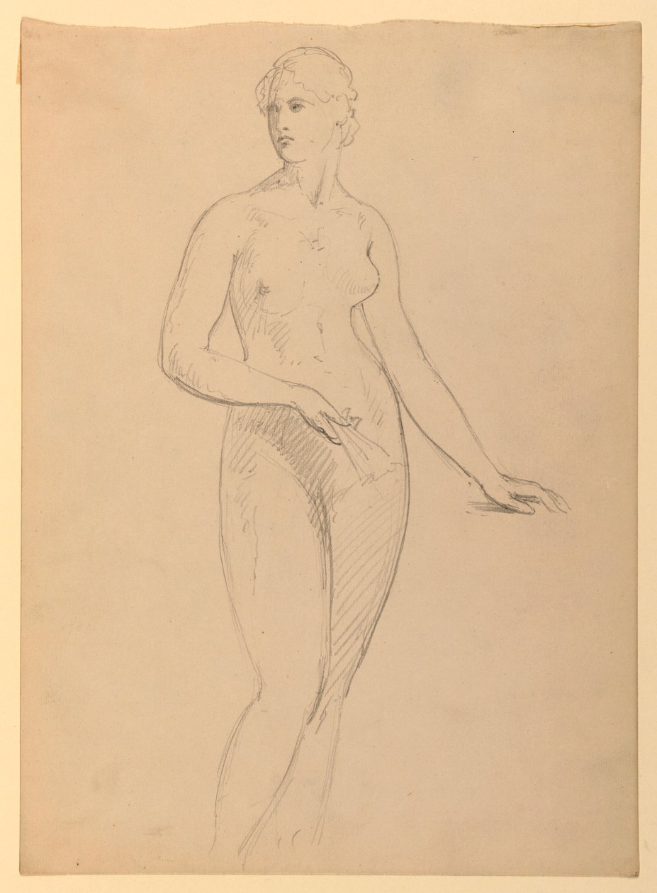 Disegno, signora Henry Schieffelin, S, 1881 da Daniel Huntington