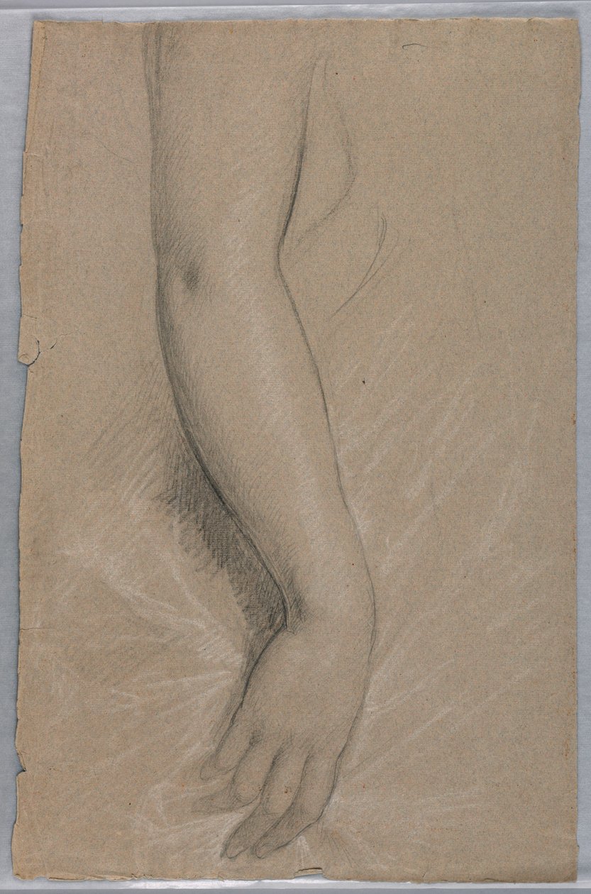 Disegno della signora Rutherford B Hayes, 1880 da Daniel Huntington