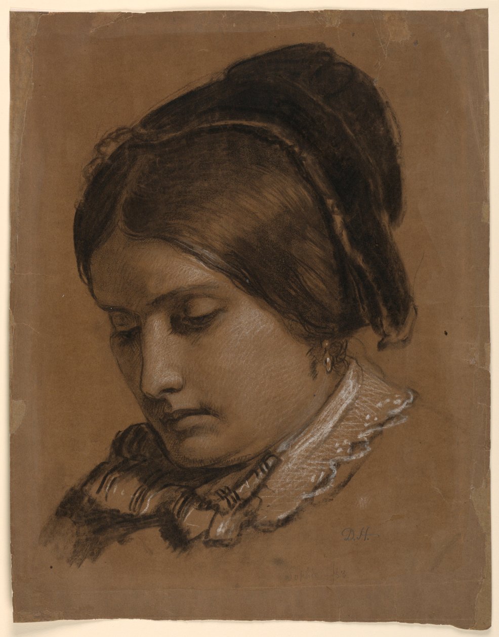 Disegno, La moglie dell