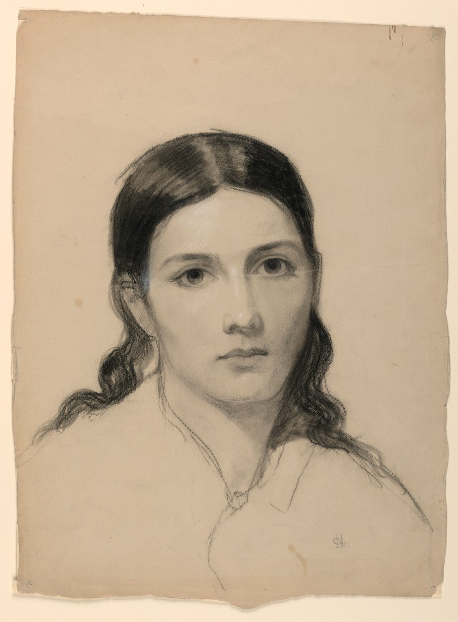 Disegno, La moglie dell