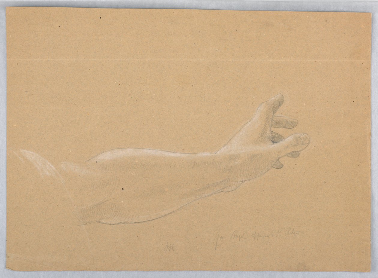 Studio della mano per l