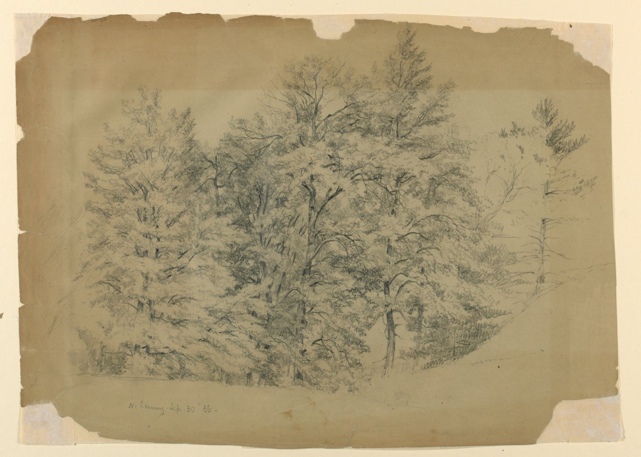 Studio di alberi, North Conway, New Hampshire da Daniel Huntington