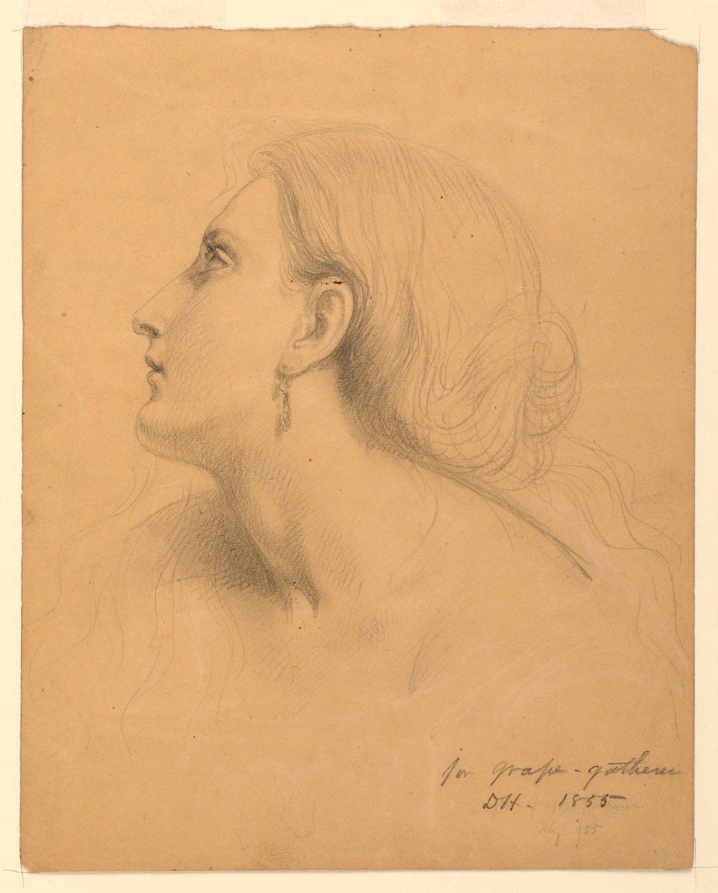 Studio della testa di una donna per "Raccoglitori d
