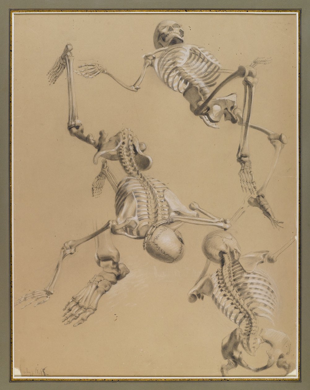 Studio di scheletri, 1848 da Daniel Huntington
