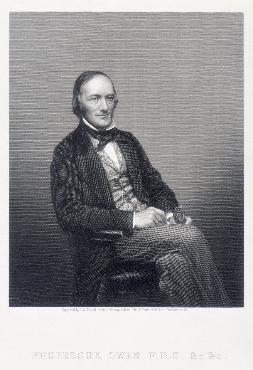 Sir Richard Owen, zoologo inglese, c1860 da Daniel John Pound