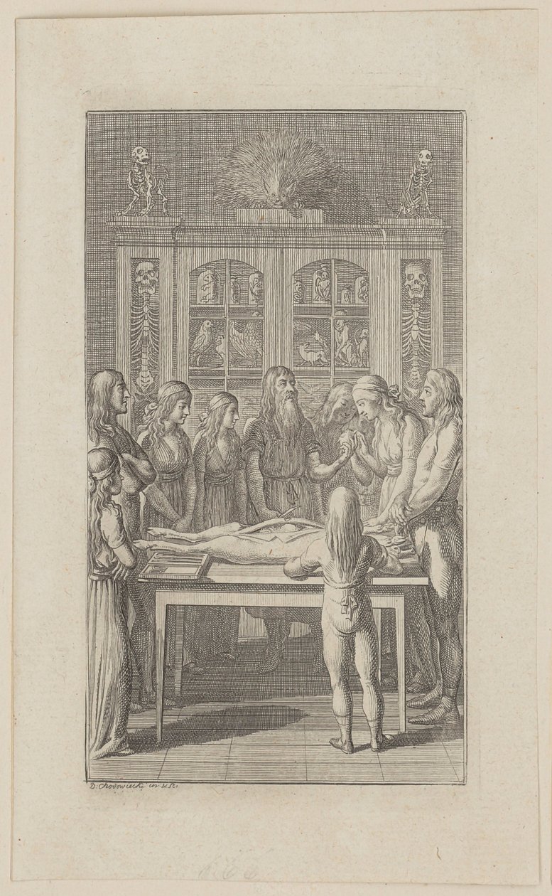 Istituto di anatomia da Daniel Nikolaus Chodowiecki